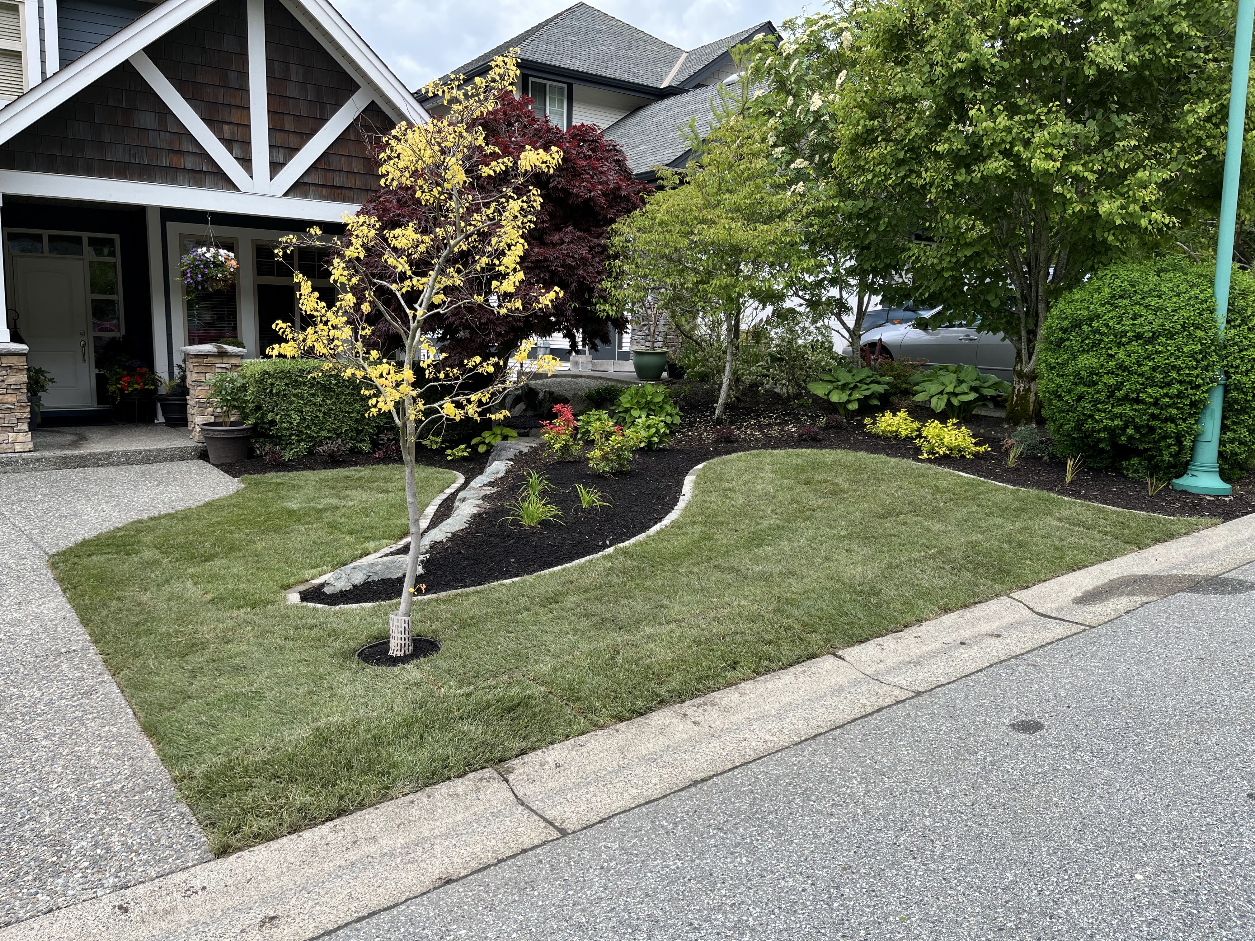 5 Essential Tips for Home Landscaping
