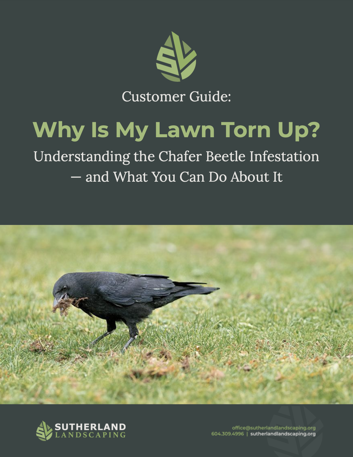 Screenshot 2026-02-19 at 7.58.43 PM